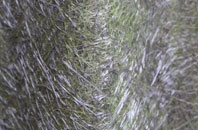 Beltoft fibreglass roof work